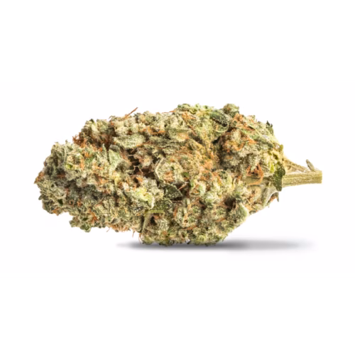 The Original Fraser Valley Weed Co. - Black Sherb