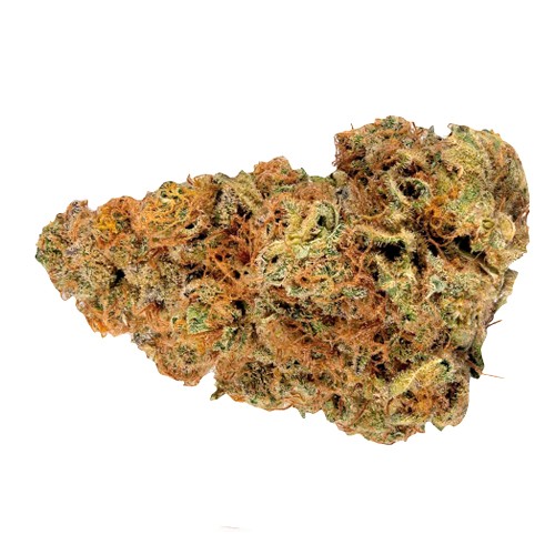 Ripped - Ripped Indica