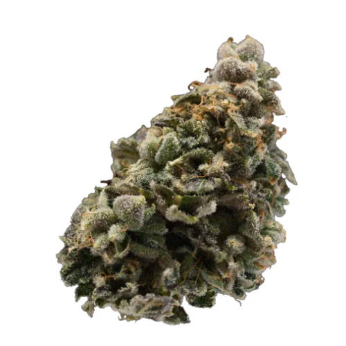 Western Cannabis - Orange Creamsicle