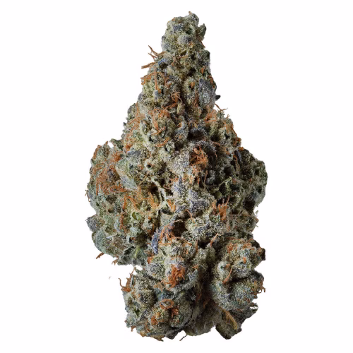 Award-Winning Craft Flower 3.5g Dried Flower