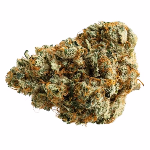 Pure Sunfarms - Ginger Dawg
