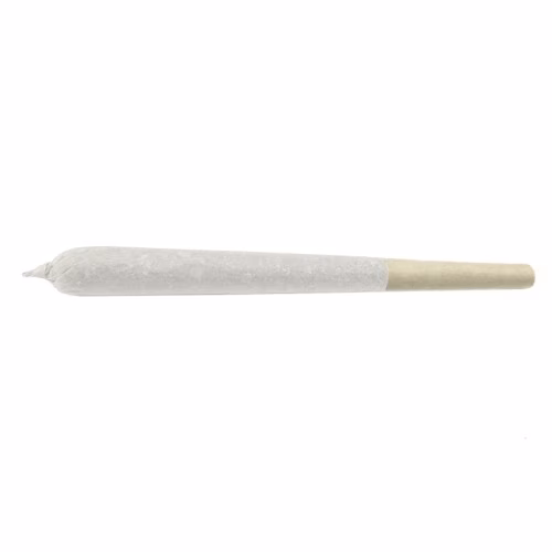 J.R. Strain - Rainbow Flame Pre-Roll