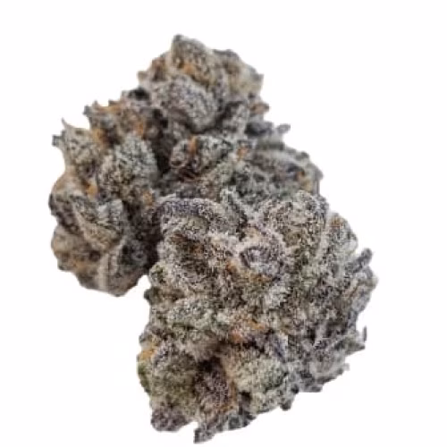 Sheeesh! - Jungle Kush