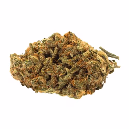 Simple Stash - Indica