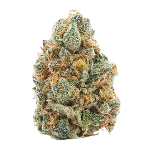 Good Supply - God Kush Cross