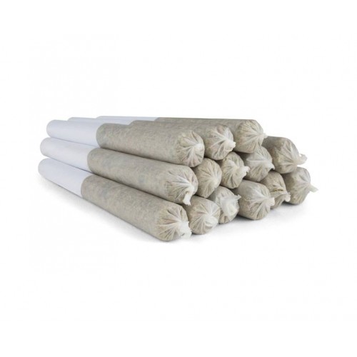 SHRED - Tropic Thunder J's Pre-Roll