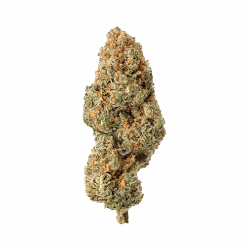 Simply Bare - BC Organic Lime Mi'jito