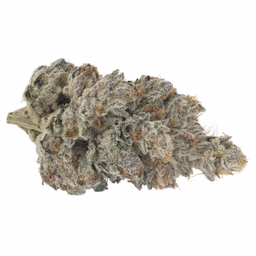 Broken Coast - Headstash