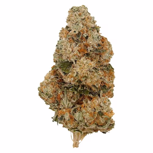 Top Leaf - Motor Breath