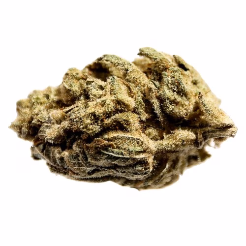 Station House - GG#4