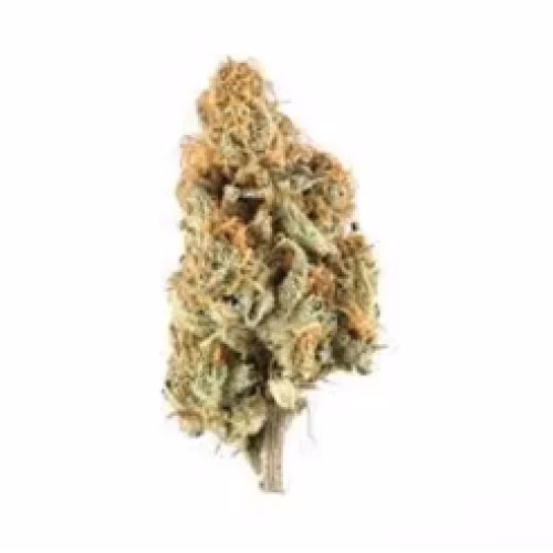 Weed Pool - Orange Creamsicle