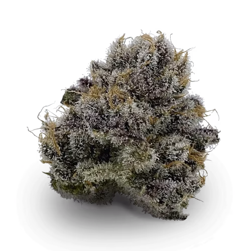 Western Cannabis - Glookies