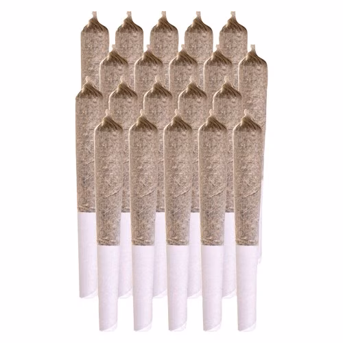 Station House - Blue Dream Pre-Roll