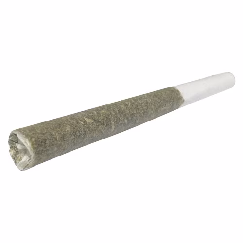 The Cannon Pre-Roll