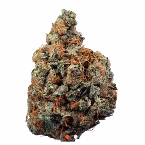 Steel City Green - Kandy Kookies