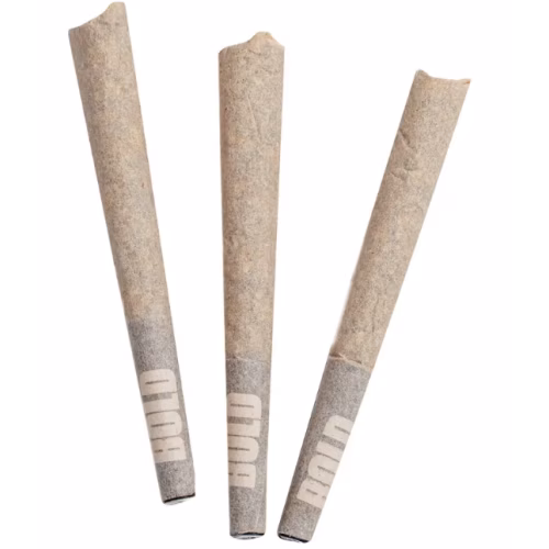 BOLD - Rocket Fuel Pre-Roll