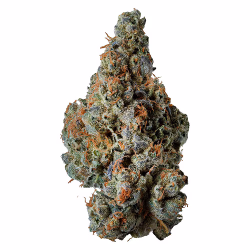 Award-Winning Craft Flower 3.5g Dried Flower