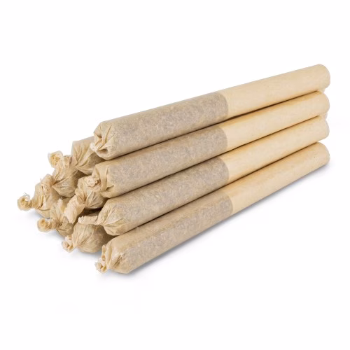 Indiva - Rainbow Roll 10-pk