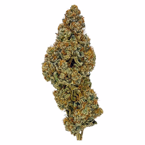 Award-Winning Craft Flower 3.5g Dried Flower