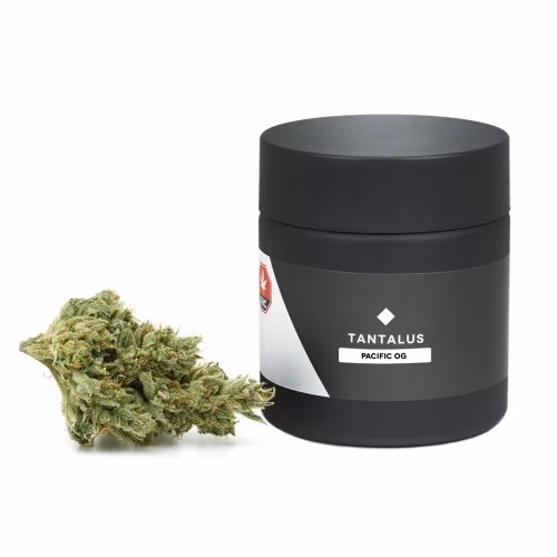 Tantalus Labs - Pacific OG