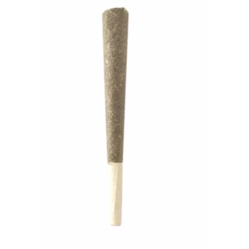 BLK MKT - Tex F2