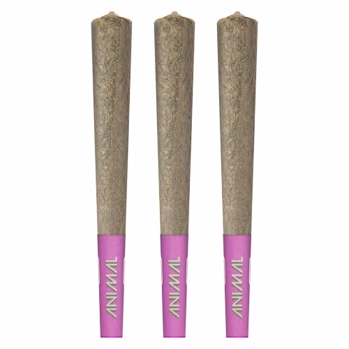 Animal - High Potency Infused Pre-Rolls 50+