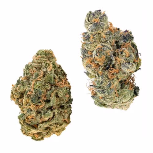 Big Bag O' Buds - CombOz: Ultra Sour + Tropical Cookies