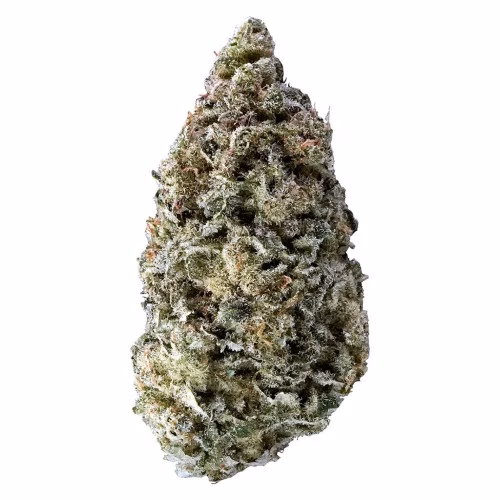 Tantalus Labs - Sky Pilot