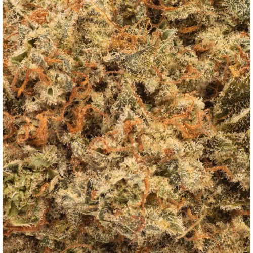FIGR - Sour OG Cheese