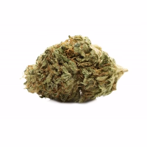 Good Buds - Gluerangutan
