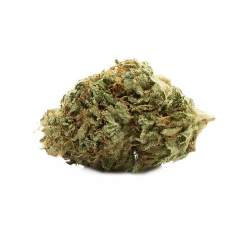 Good Buds - Gluerangutan