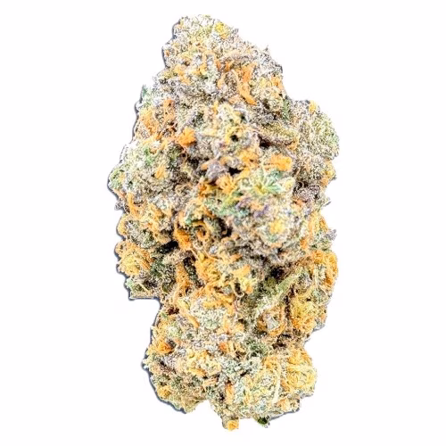 Canal St. - Confidential Green