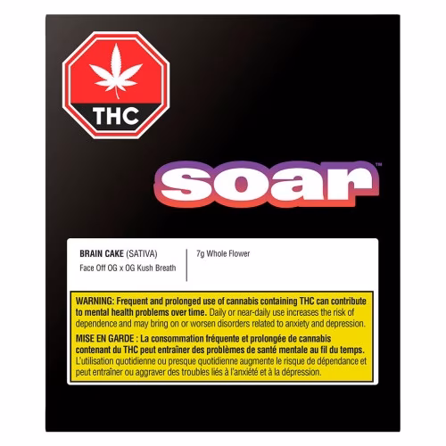 Soar - Brain Cake
