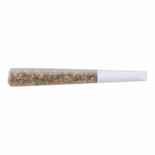 The Loud Plug - Exotic Gas