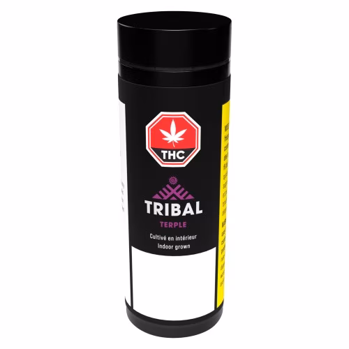 Tribal - Terple