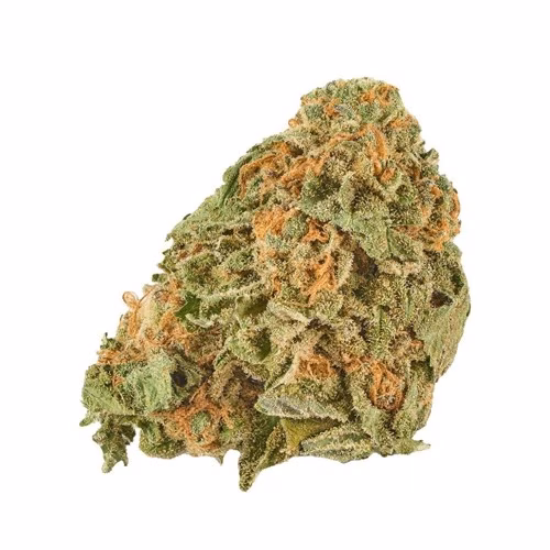 Grand Daddy Purps