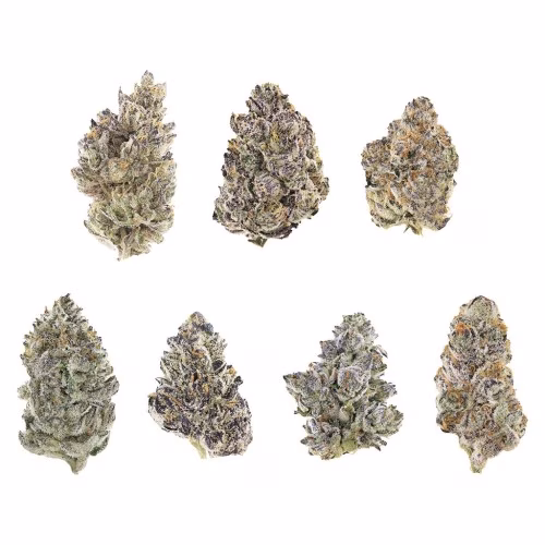 The Karma Cup - Indica Dominant Judges Kit