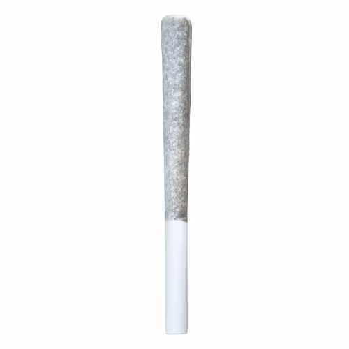 Irony - Blueberry Muffin - Pre-Rolls