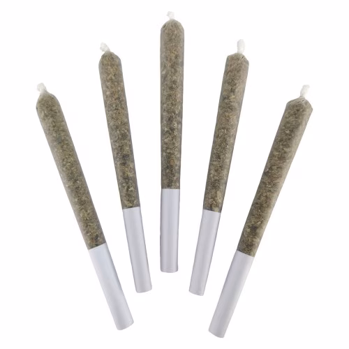 DEALR - Galactica OG Pre-roll
