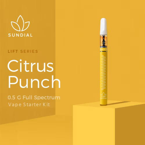 Sundial - Citrus Punch Full Spectrum 510 Vape Starter Kit