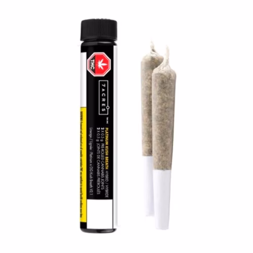 Jack Haze Pre-Rolls