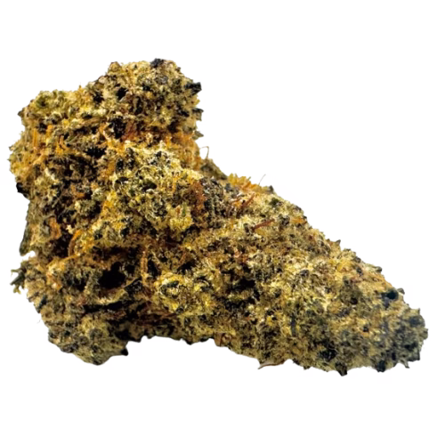 East Coast Diesel