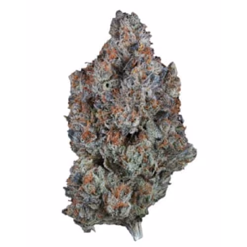 1964 - Sour Tangie