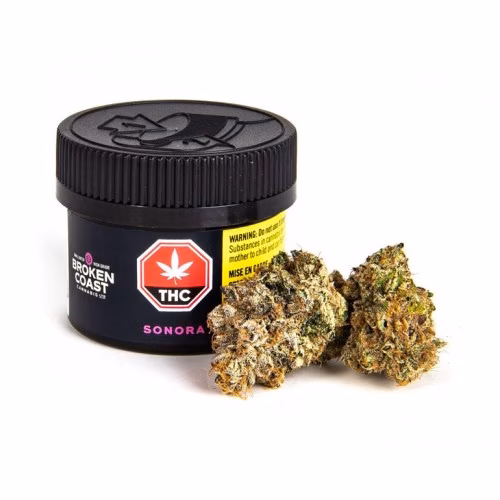 Broken Coast - Stargazer