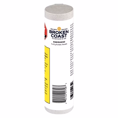 Broken Coast - EmergenZ