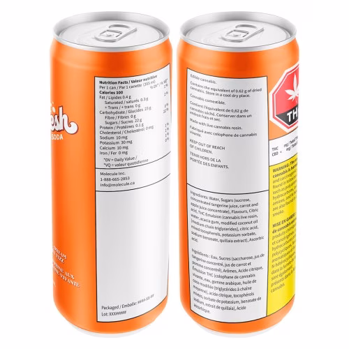 Sheesh Hash Sodas - Banjorine Dream Live Rosin Fizz