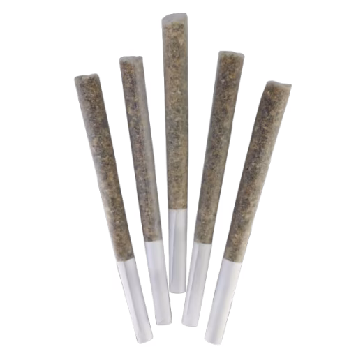 Headstone Cannabis - Black Mountain Morgue Pre-Rolls