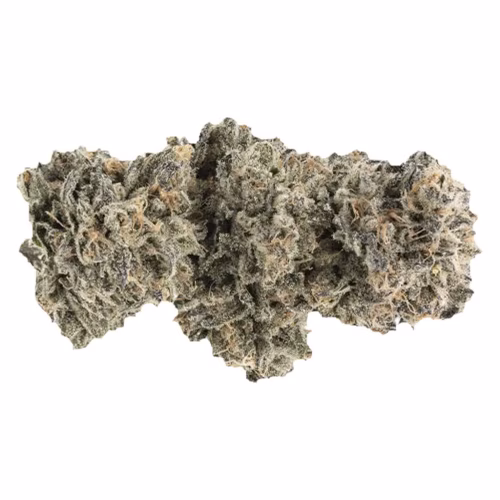 1964 - Kush Mints