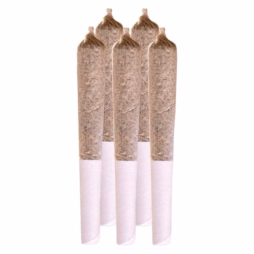 Station House - LA Confidential Pre-Roll
