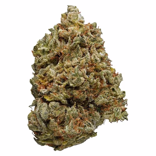 Simply Bare - BC Organic Lemon Loopz